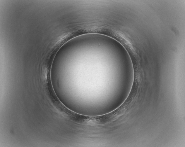 X0000116310115200911301511