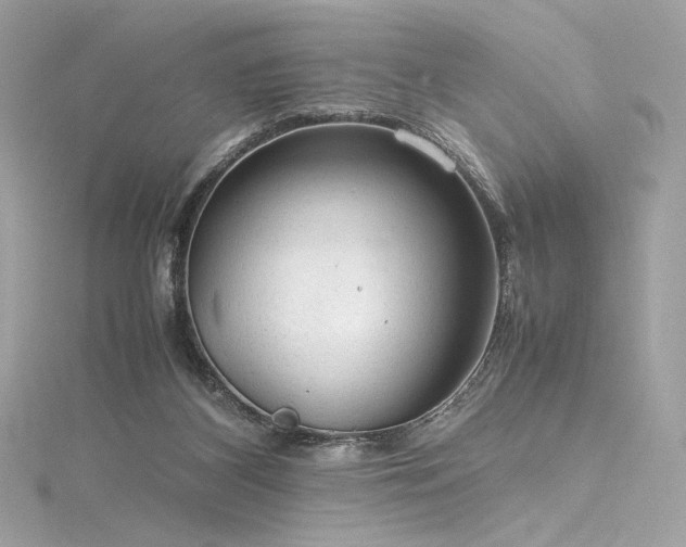 X0000116310116200911301511