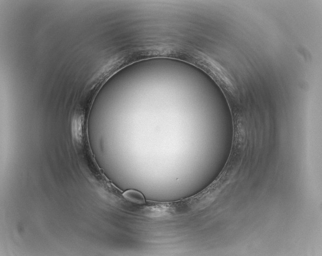 X0000116310118200911301511