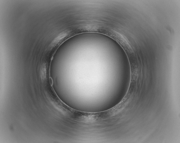 X0000116310120200911301511