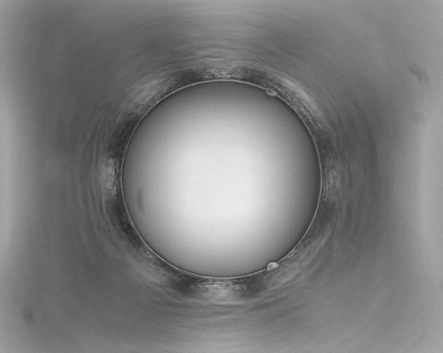 X0000116310121200911301511