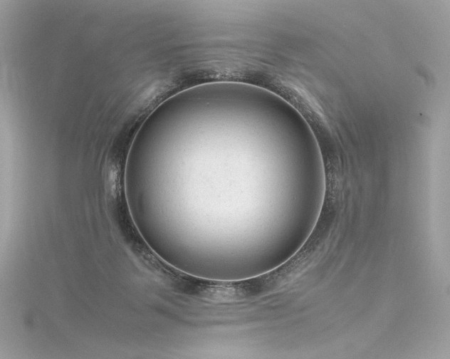 X0000116310123200911301511