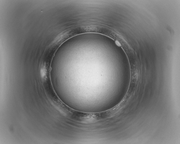 X0000116310124200911301511