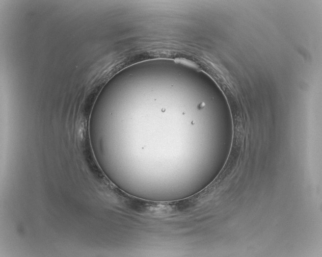 X0000116310125200911301511