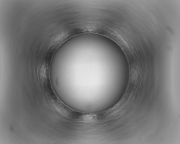 X0000116310126200911301511