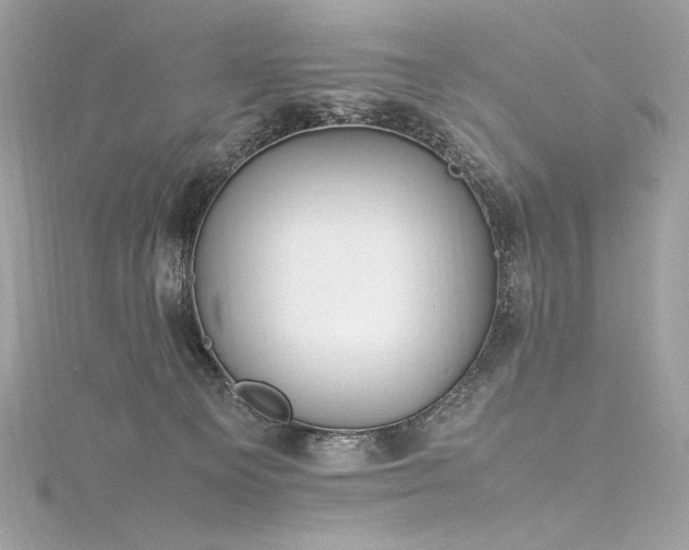 X0000116310129200911301511