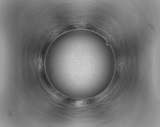 X0000116310130200911301511