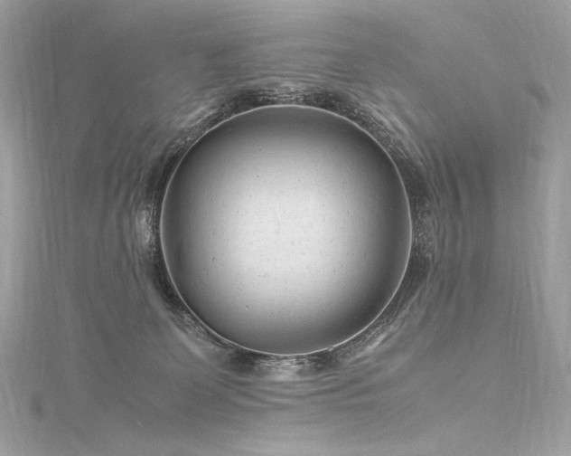 X0000116310131200911301511