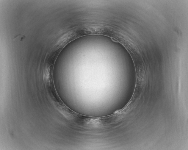 X0000116310132200911301511