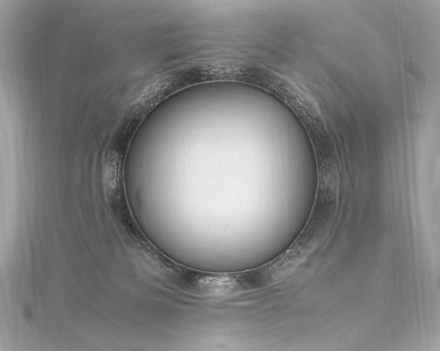 X0000116310133200911301511