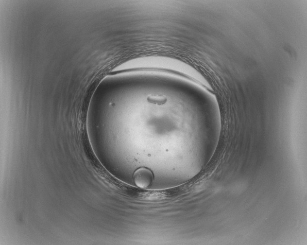 X0000116310135200911301511