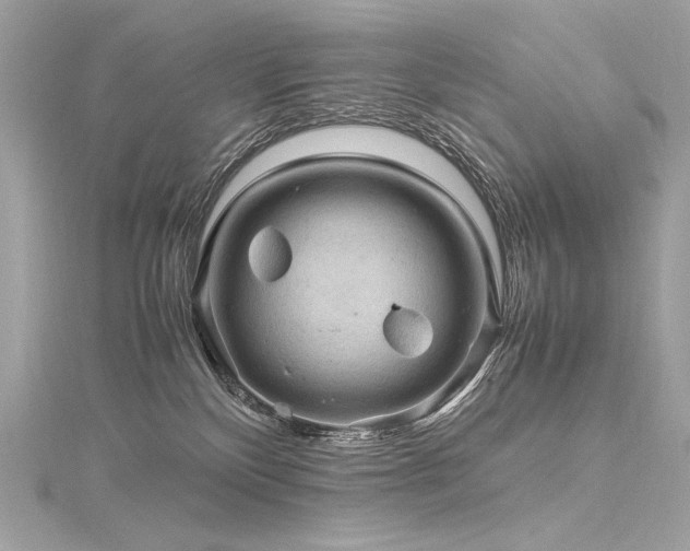 X0000116310136200911301511