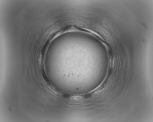 X0000116310137200911301511