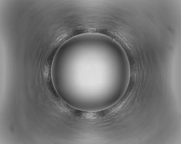 X0000116310139200911301511