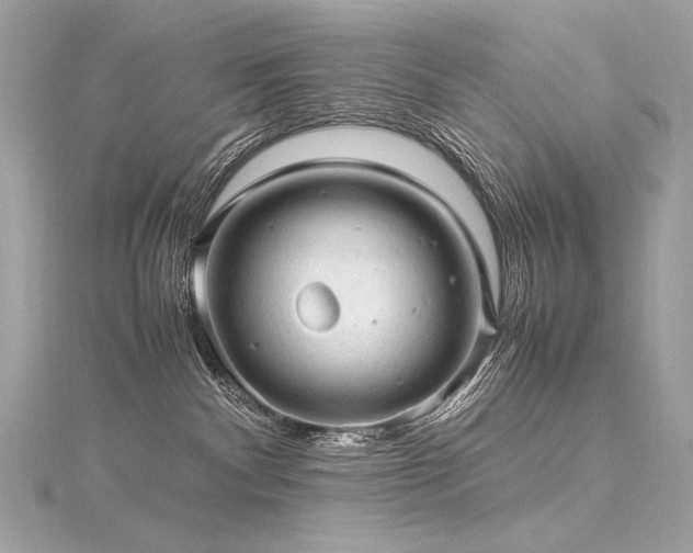 X0000116310140200911301511