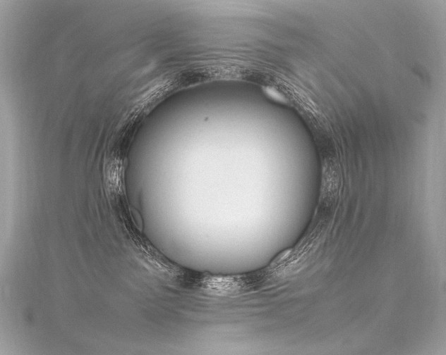 X0000116310141200911301511