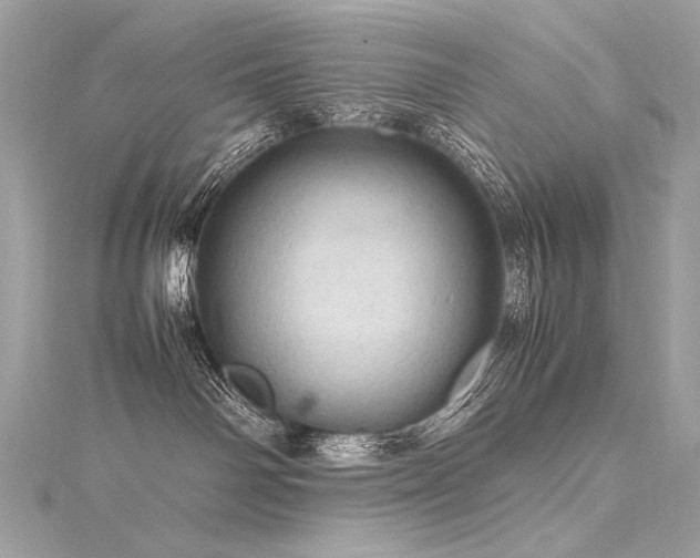 X0000116310142200911301511