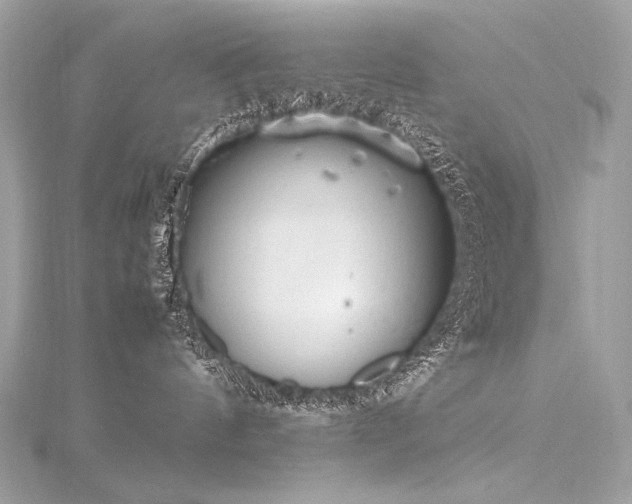 X0000116310144200911301511