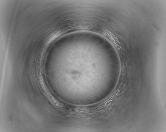 X0000116310145200911301510