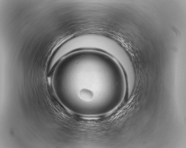 X0000116310146200911301510