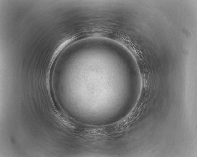 X0000116310147200911301510