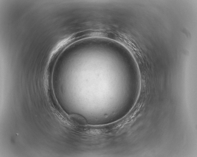 X0000116310149200911301510