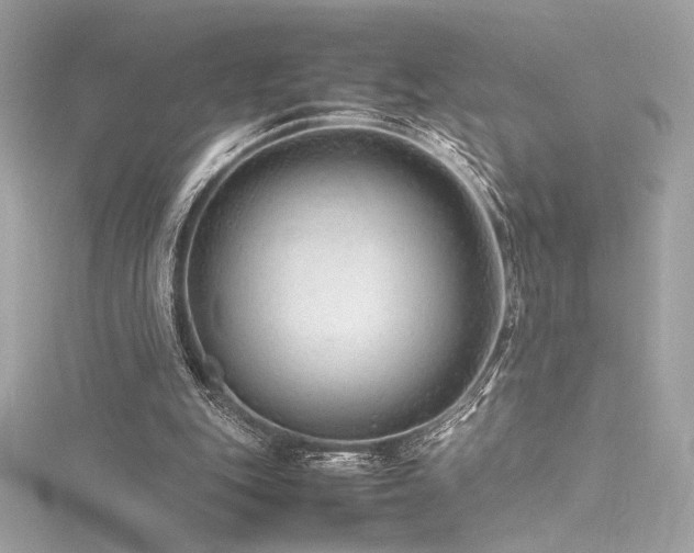 X0000116310151200911301510