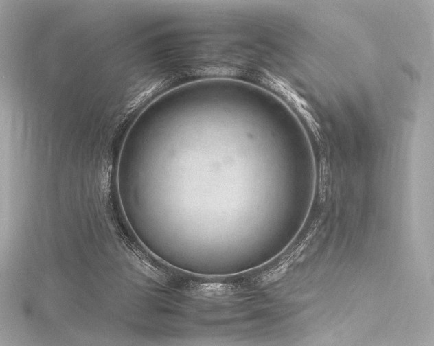 X0000116310153200911301510