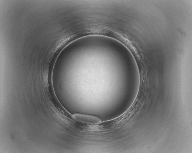 X0000116310154200911301510