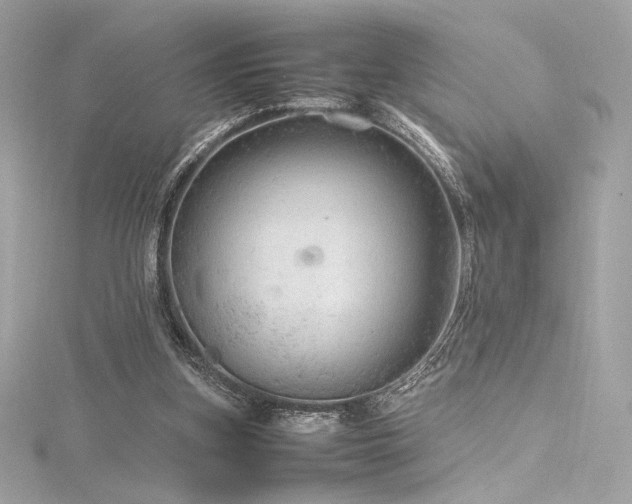 X0000116310155200911301510