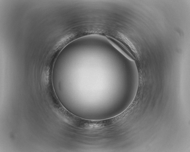 X0000116310163200911301510