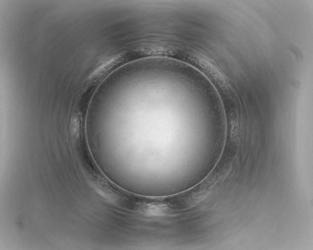 X0000116310165200911301510