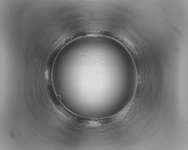 X0000116310166200911301510