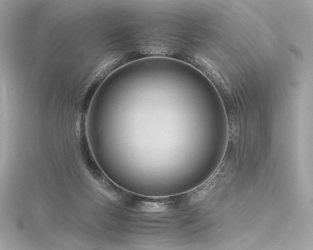 X0000116310167200911301510