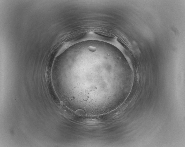 X0000116310169200911301510