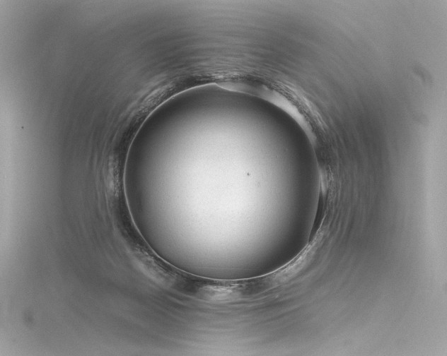 X0000116310170200911301510