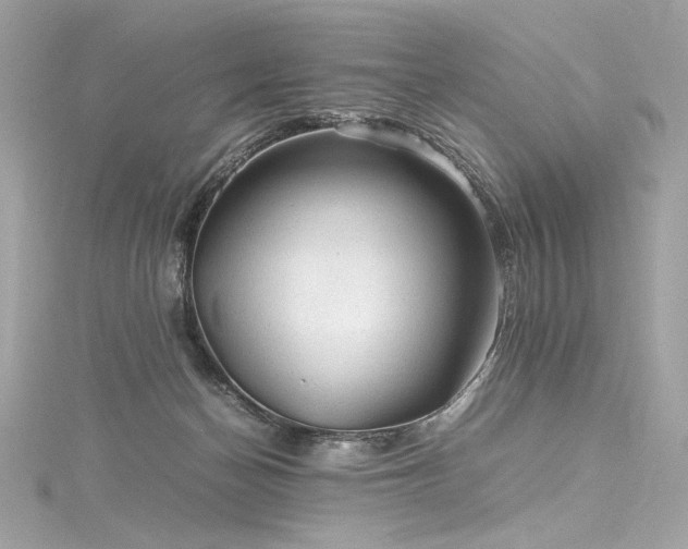 X0000116310174200911301510