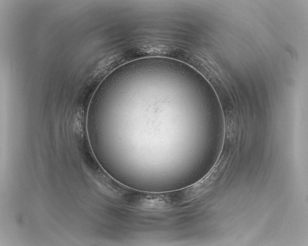 X0000116310175200911301510