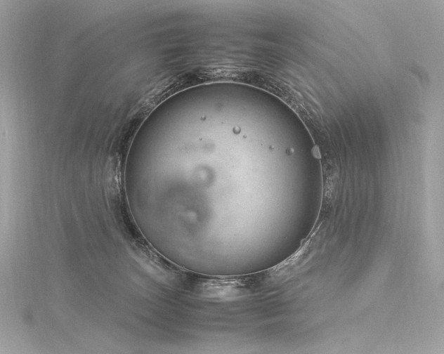 X0000116310179200911301510