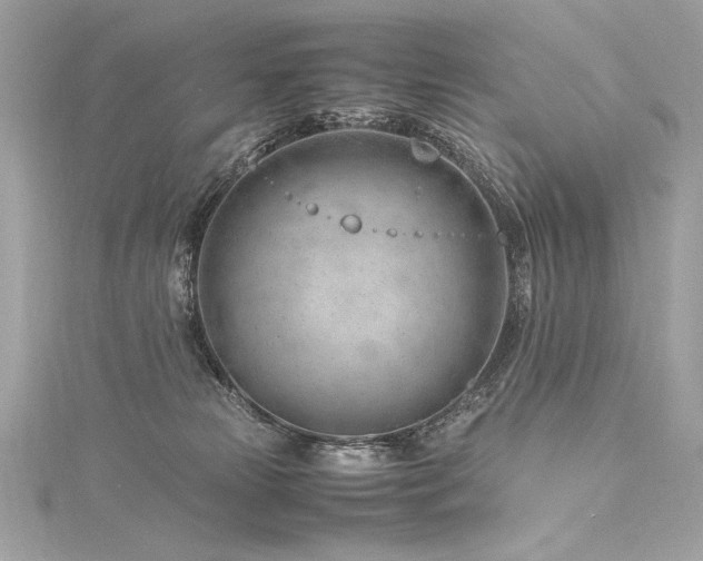 X0000116310181200911301511