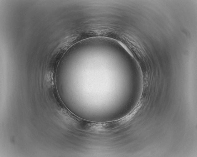 X0000116310182200911301511