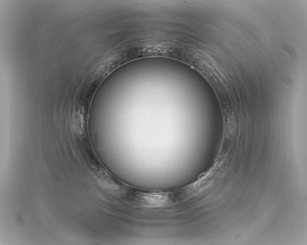 X0000116310183200911301511