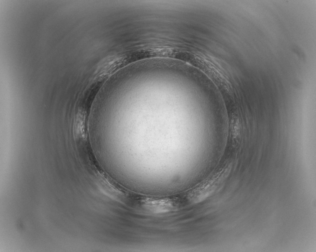 X0000116310185200911301511