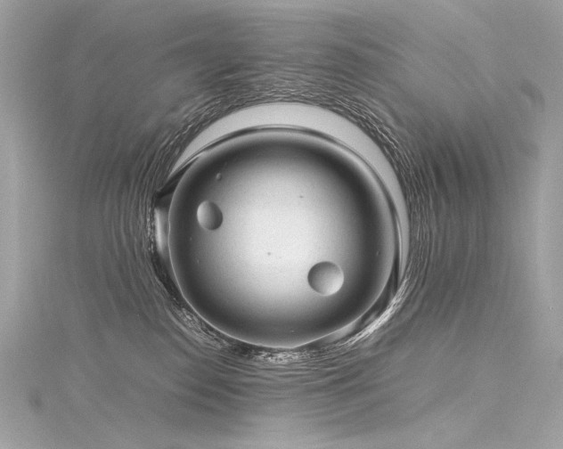 X0000116310186200911301511