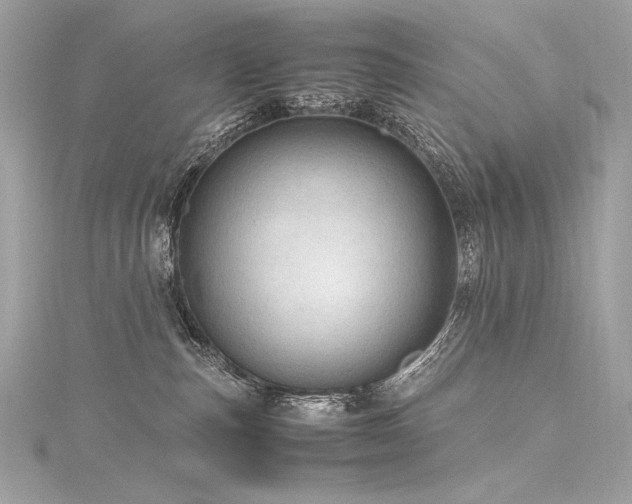 X0000116310187200911301511