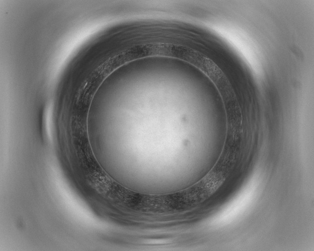 X0000116310189200911301511