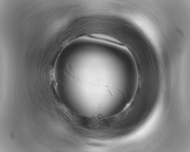 X0000116310190200911301511