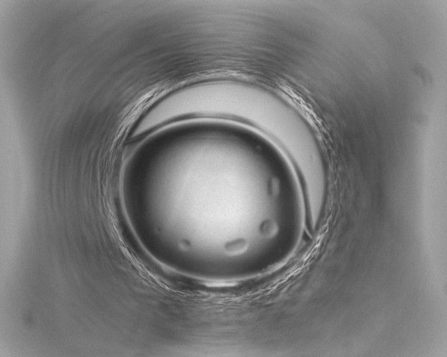 X0000116310193200911301510