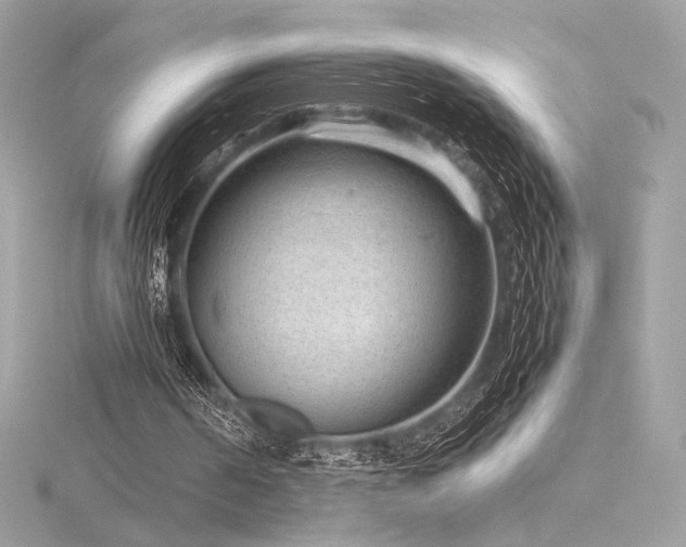 X0000116310194200911301510