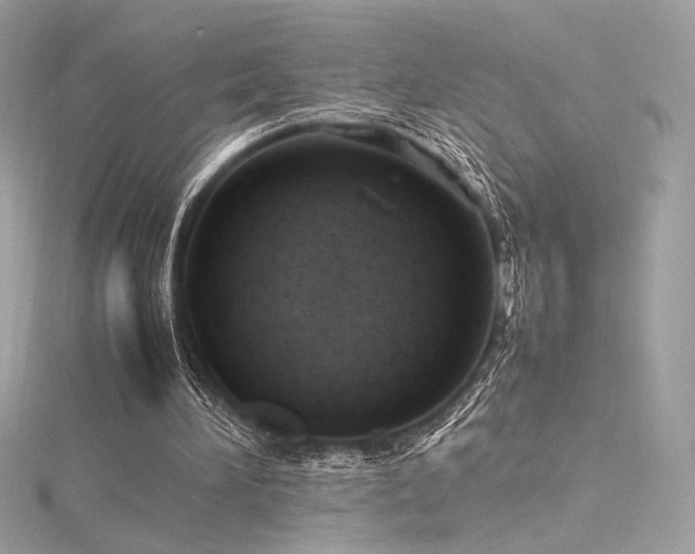 X0000116310196200911301510